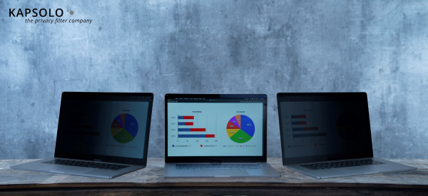 KAPSOLO 2-wege Blickschutzfilter / Blickschutzfolie abnehmbar für HP EliteBook 820 G3 (Touch), KAP10272